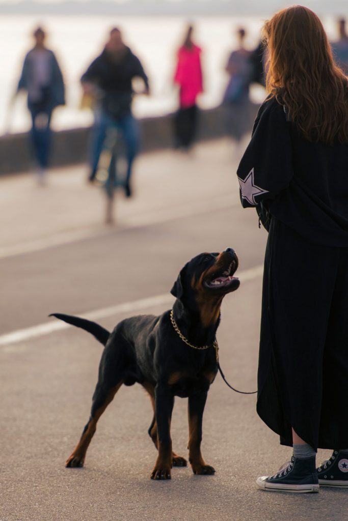 Frau mit Hund