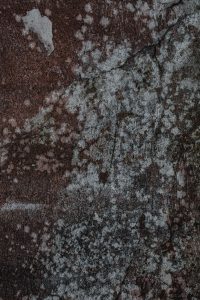 Fugen im Badezimmer